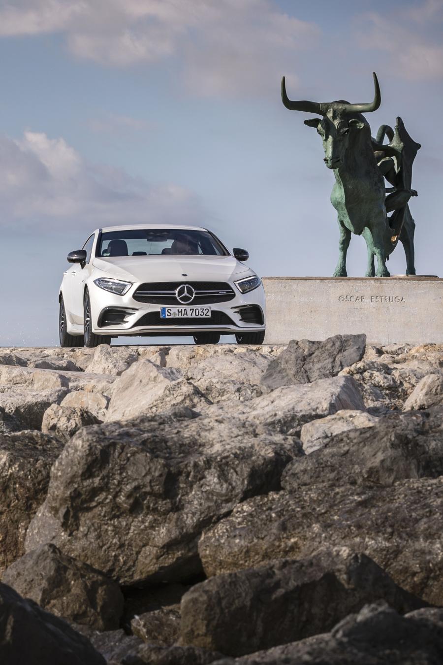  Mercedes-AMG CLS53 4Matic+ (C257) 2018 года  (WW) (фото 29 из 41)